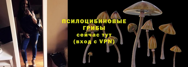 СК Алексеевка